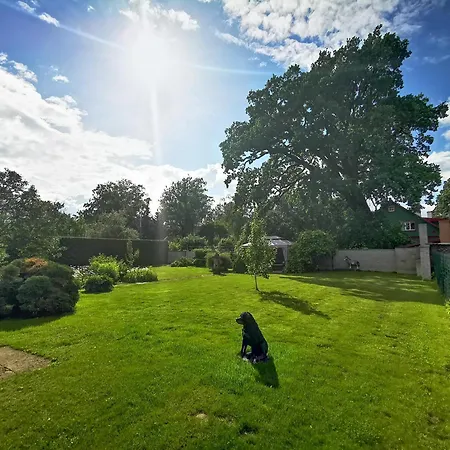 Suur - Posti Apartamento Pärnu