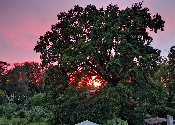 Suur - Posti Apartamento *